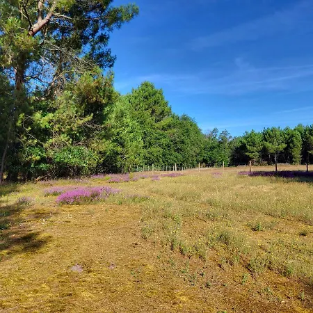 Bed & Breakfast Domaine De La Sarrotte *
