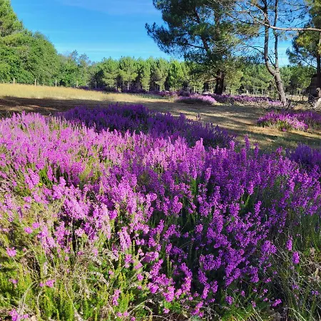 Domaine De La Sarrotte Bed & Breakfast