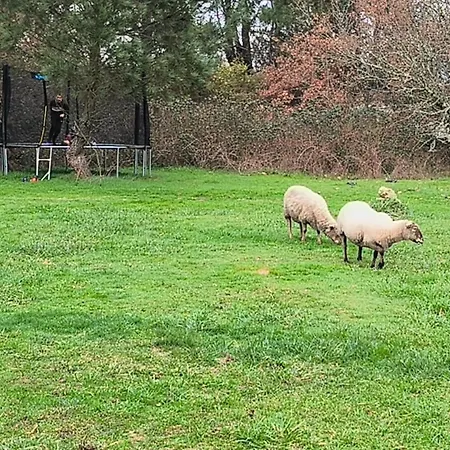 Domaine De La Sarrotte Frühstückspension *