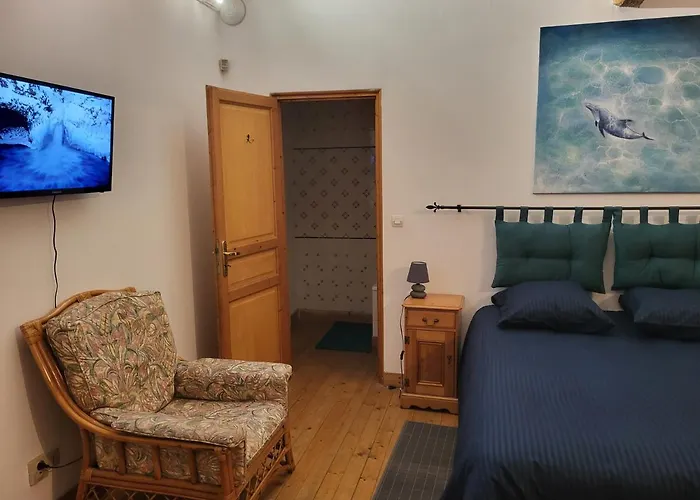 Domaine De La Sarrotte Bed & Breakfast