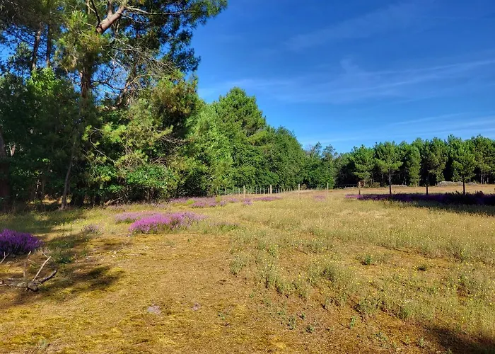 Bed & Breakfast Domaine De La Sarrotte 3*