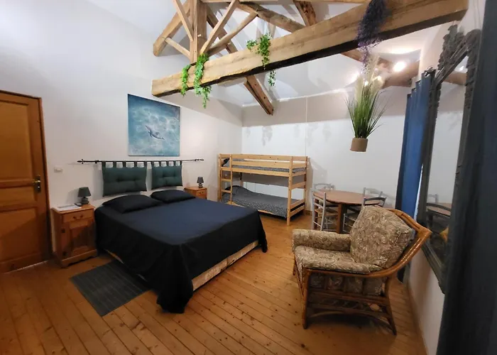 Bed & Breakfast Domaine De La Sarrotte 3*